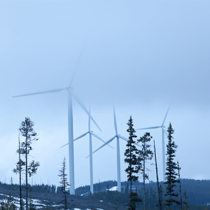 Meikle Wind
