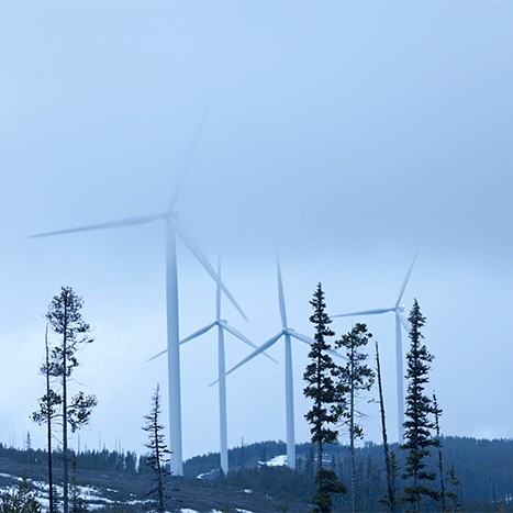 Meikle Wind